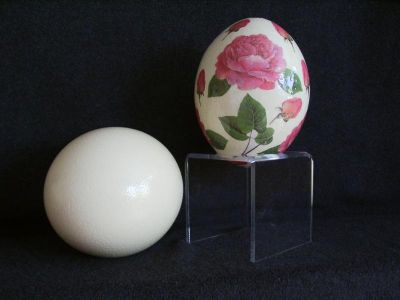 ein unbearbeitetes Straussenei und das mit Rosenmotiv bearbeitete Straussenei